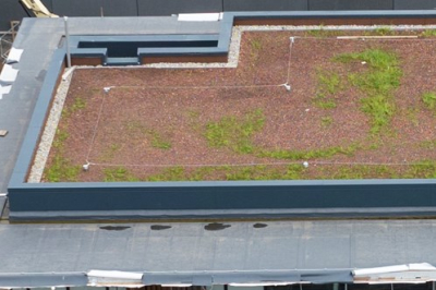 Green roof 